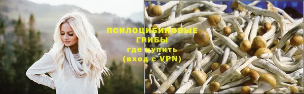 круглые Балахна