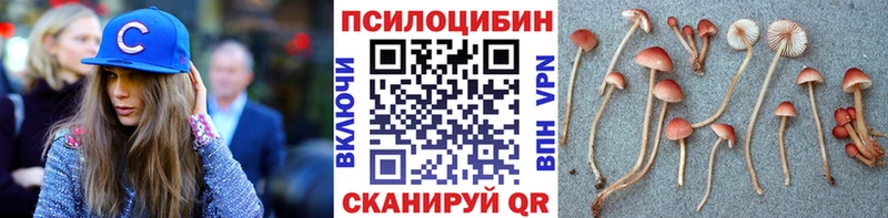 Псилоцибиновые грибы Psilocybine cubensis  Бирск 
